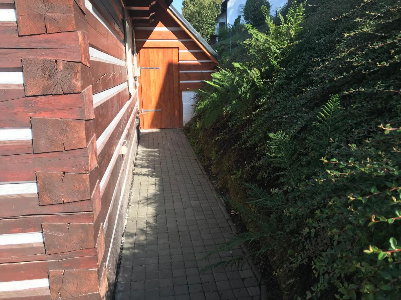 Modern Chalet Na Zlatniku Zlata Olesnice  Exterior photo